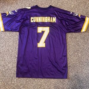 Randall Cunningham Vikings Jersey (L)